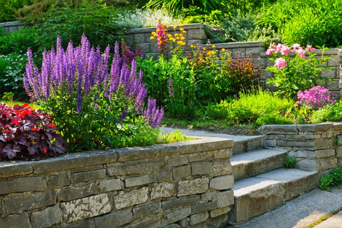 beautiful-landscape-flowers-stone-steps